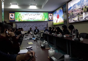 ظریب نفوذ بیمه در مناطق شهری استان کردستان به ۵۴.۸ درصد رسید