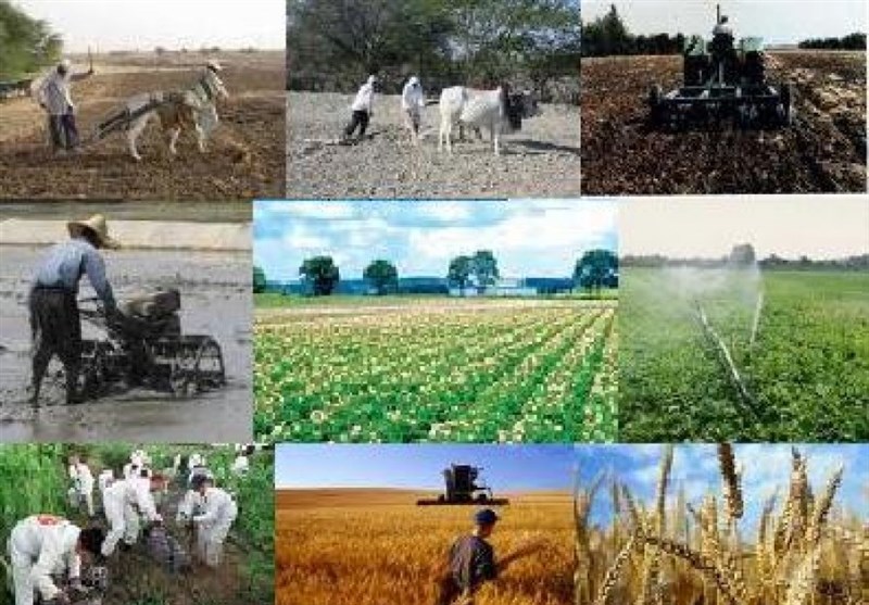 بهره برداری از بیش از 400 طرح کشاورزی در جنوب کرمان