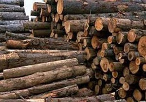 کشف ۳۸ تن چوب قاچاق در استان قزوین