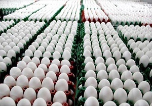 توزیع ٧ تن تخم مرغ و ٢٦ تن برنج با هدف تنظیم بازار