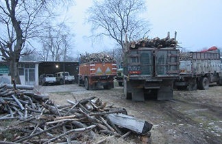 کاهش۵۰ درصدی قاچاق چوب در آران و بیدگل