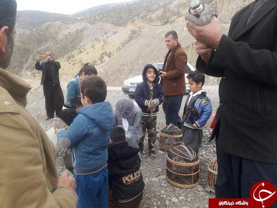 دستگيری دو اکيپ شکارچی در شهرستان ثلاث باباجانی +تصاویر