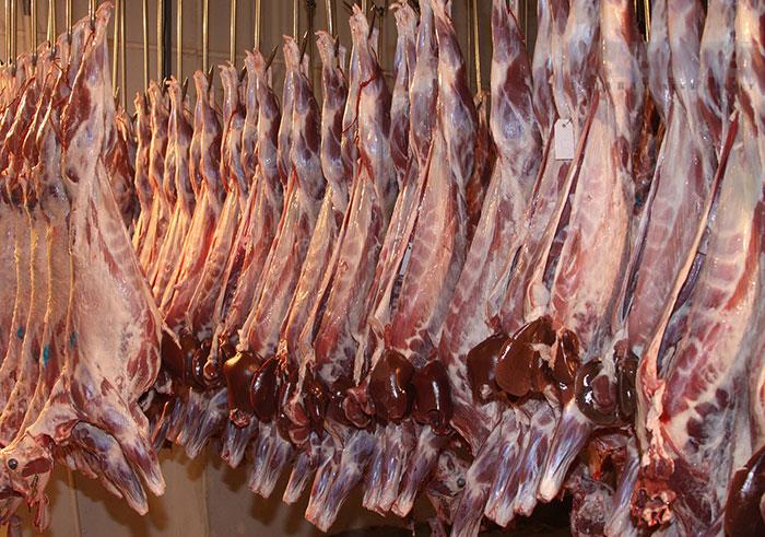 تولید بیش از 31 هزار تن گوشت قرمز در خوزستان