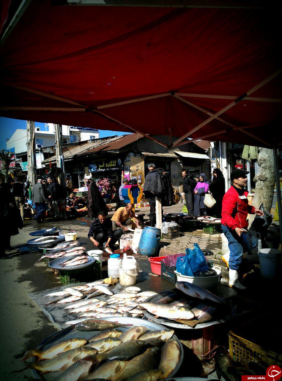 بازار ماهی فروشان املش + تصاویر