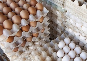 آغاز عرضه تخم مرغ با هدف کنترل قیمت در زاهدان