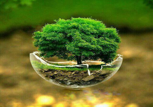 نفس‌های ما به نفس‌های زمین بند است درختکاری تنفسی تازه برای جنگل