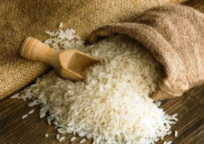 آغاز خرید توافقی برنج از شالیکاران گیلانی