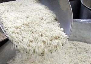 افزایش 50 درصدی توزیع برنج در طبس