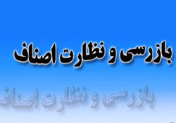 تشکیل بیش از ۱۷۰۰ پرونده تخلف صنفی در هرمزگان