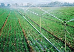 افزایش بهره ‌وری آب در حوزه جهاد کشاورزی