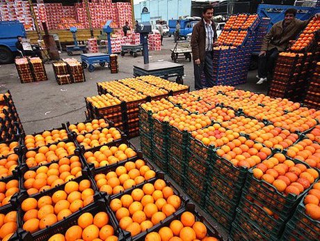 کشف 16 تن پرتقال ترکیه‌ای در میدان میوه و تره بار مادر جنوب تهران/ تشکیل پرونده تخلفاتی برای عرضه خارج از شبکه تنظیم بازار پرتقال