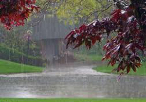 میزان بارش باران در نقاط مختلف "فارس"