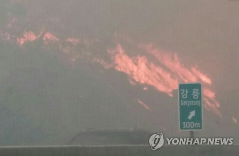 تخلیه نواحی شرقی کره جنوبی در پی آتش سوزی جنگلی