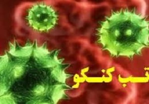 افزایش ابتلا به تب کنگو در سیستان و بلوچستان