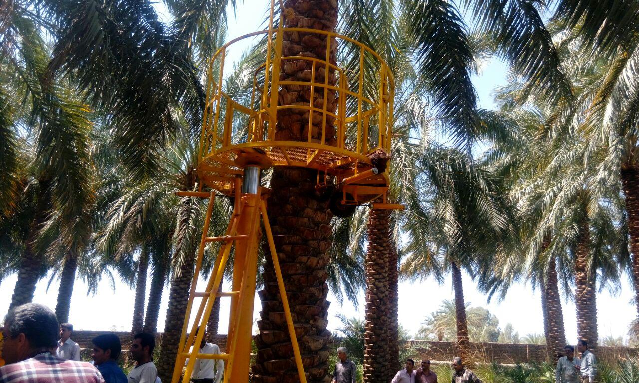 ساخت دستگاه بالا بر نخل برای نخستین بار در کشور