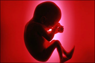 مراجعه 2071 تن برای دریافت مجوز سقط درمانی (جسمانی)