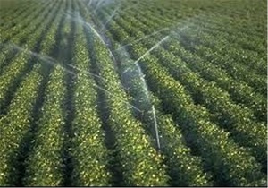 اجرای سیستم‌های نوین آبیاری در اراضی کشاورزی