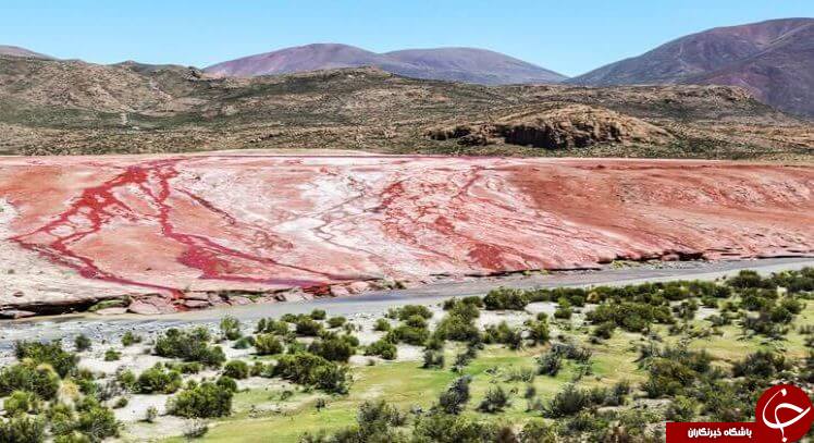 تالاب سرخ مرموز در شیلی