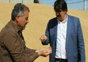بازدید مدیر عامل شرکت غله از مراکز خرید گندم شهرستان کوهدشت