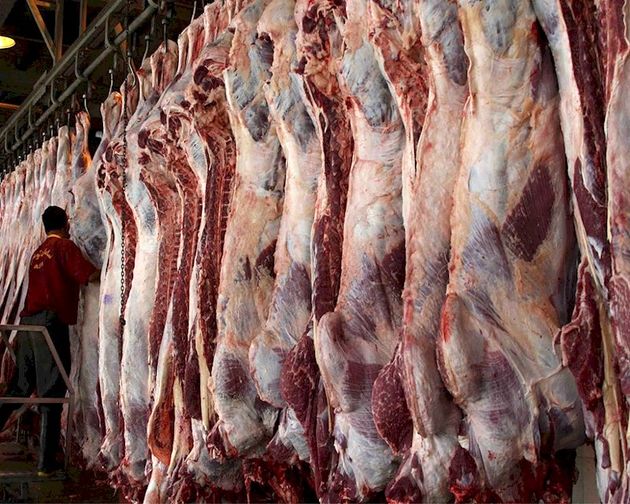 افزايش 7 درصدی توليد گوشت قرمز در خوزستان