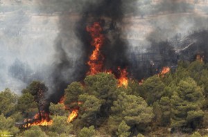 12 هکتار از بیشه زار های گتوند در آتش سوخت