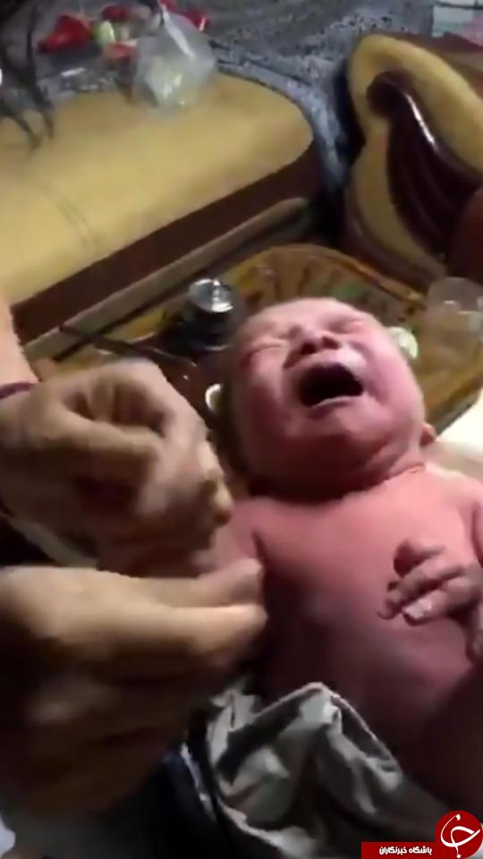 نوزاد تازه متولد شده، توسط مورچه ها خورده شد + تصاویر