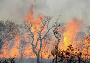 مهار آتش سوزی در ارتفاعات روستای درودزن