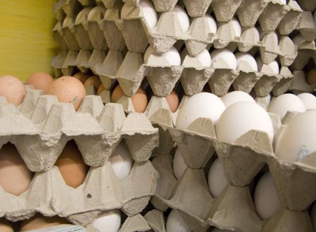 آخرین وضعیت صادرات تخم مرغ به قطر/ حداکثر نرخ هر شانه تخم مرغ 7 هزار تومان