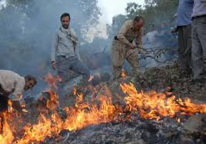 ادامه سریال آتش سوزی در منطقه حفاظت شده دیل گچساران