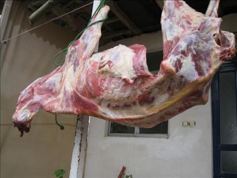 لاشه های گاو کشتار غیر مجاز در شوش معدوم شدند