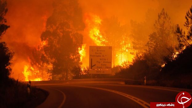 افزایش شمار تلفات آتش‌سوزی گسترده پرتغال به 24 نفر+ تصاویر