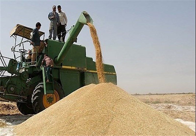 خریداری یک میلیون تن گندم به نرخ تضمینی از کشاورزان