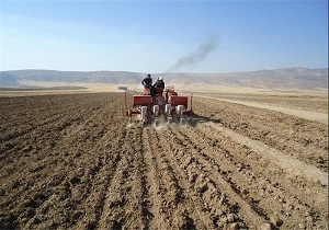 اختصاص 13 هزار هکتار از اراضی استان اردبیل به تولید بذور محصولات کشاورزی