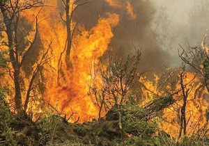 آتش سوزی در مراتع اسلام آباد غرب