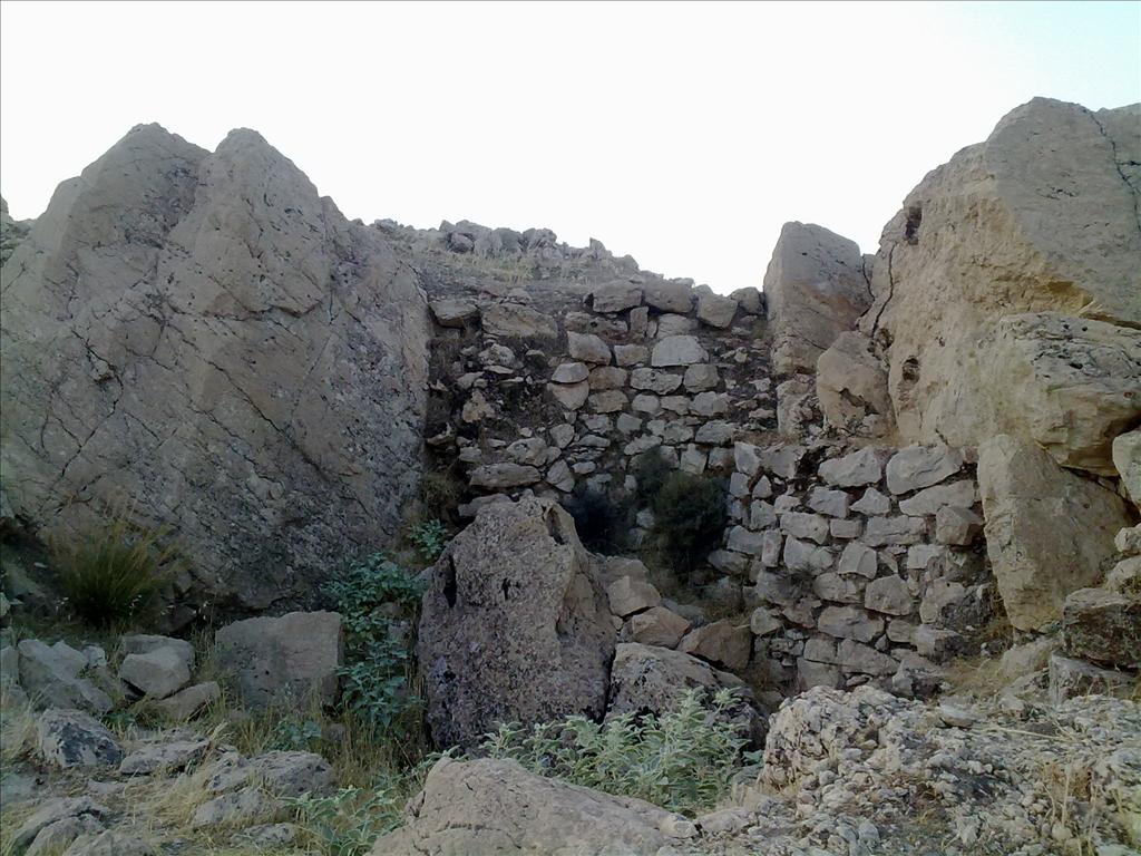 ارجان؛محل سکونت آریایی&zwnj;ها