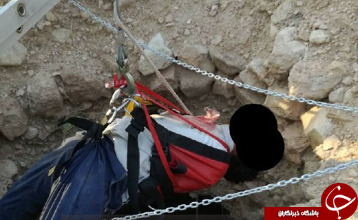 کندوی عسل جان جوان را گرفت