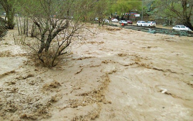 بارش باران و خسارت سیل به مزارع و باغات شهرستان شوط