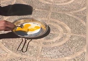 نور خورشید در چند ثانیه تخم مرغ را سرخ کرد! + فیلم