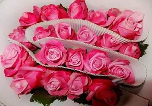 صدور گواهی صادرات ۲۲ هزار گلدان گل و گیاه زینتی از نوشهر به خارج کشور