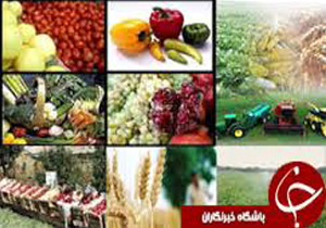 بیش از 2 هزار تن محصول کشاورزی از استان صادر شد