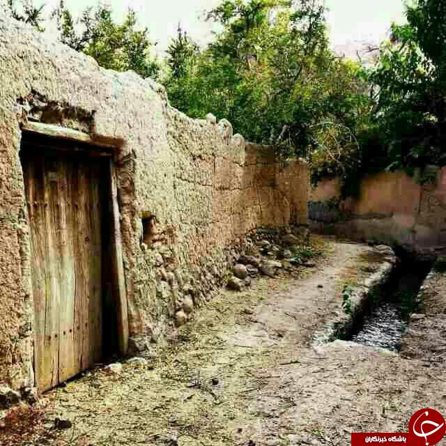 طبیعت زیبا و چشم&zwnj;نواز در ویدر + تصاویر