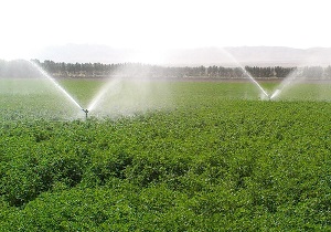 سیستم آبیاری نوین در اراضی کشاورزی اردل