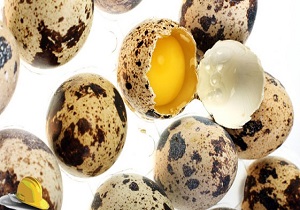 آیا تخم بلدرچین برای کودکان مناسب است؟