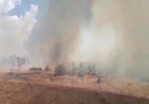 مراتع سروآباد در آتش سوخت + فیلم