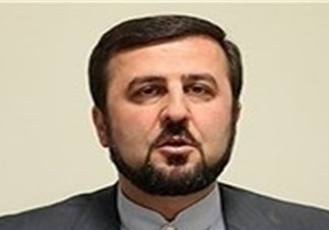 اعدام‌های‌ ملاء‌عام ‌‌با رعایت تمام موازین اسلامی و حقوقی انجام می‌شود