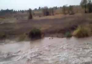 طغیان رودخانه در روستای «میثم‌آباد» + فیلم