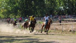 برگزاری رقابت های کورس سوارکاری اسب های بومی در رشت