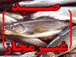بازداشت دو گروه صیاد غیر مجاز ماهی در سرخس