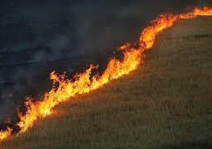 کاهش ۸۵ درصدی آتش سوزی در مراتع فارس