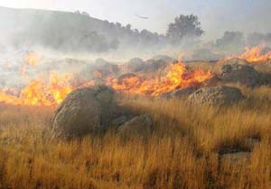 آتش‌سوزی در کوه‌های «کوهمره نودان» + فیلم